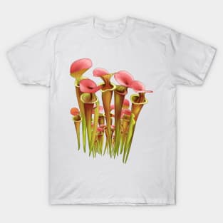 Gardening Sarracenia Pitcher plant Carnivorous plant T-Shirt